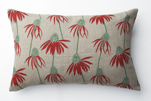 Cushion